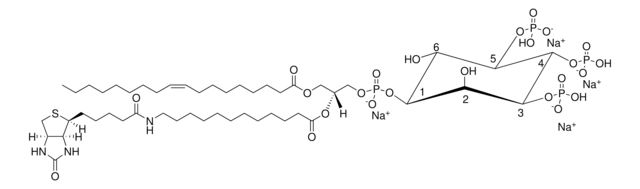 18:1-12:0 Biotin PIP3 Avanti Research&#8482; - A Croda Brand 860568P, powder