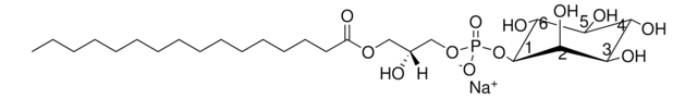 大豆Lyso PI Avanti Polar Lipids 850090P, powder