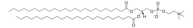 24:0 PC 1,2-dilignoceroyl-sn-glycero-3-phosphocholine, powder