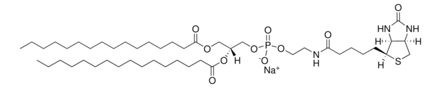 16:0 Biotinyl PE Avanti Polar Lipids 870285P, powder