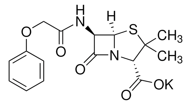 Phenoxymethylpenicillinic acid potassium salt potency: 1444-1536&#160;units per mg