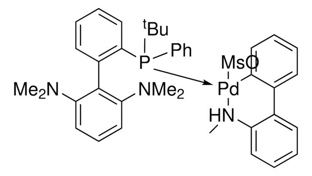 (t-Bu)PhCPhos Pd G4 ChemBeads