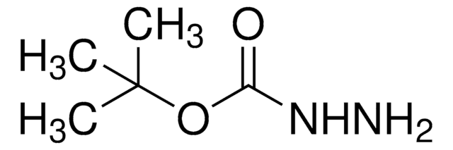 tert-Butyl carbazate solution 1.0&#160;M in dichloromethane