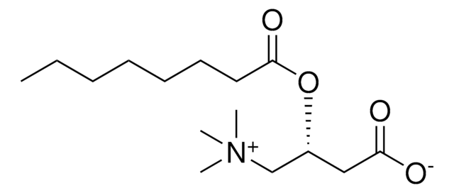 C8:0 L-carnitine Avanti Polar Lipids