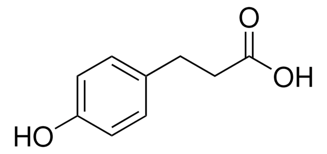 3-(4-Hydroxyphenyl)propionic acid 98%