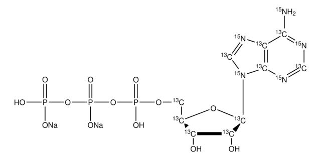 腺苷-13C10,15N5 5&#8242;三磷酸 钠盐 溶液 100&#160;mM (in 5mM Tris HCl / H2O), &#8805;98 atom %, &#8805;95% (CP)