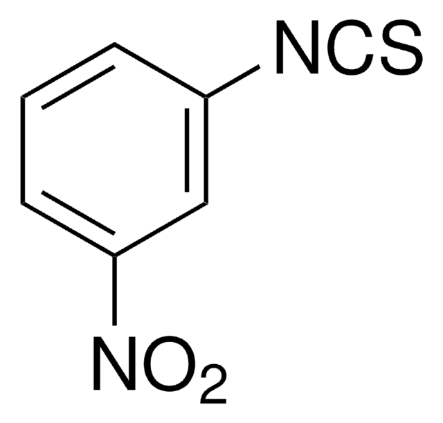 3-Nitrophenyl isothiocyanate 98%