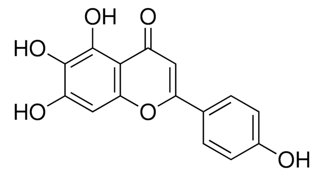 Scutellarein phyproof&#174; Reference Substance