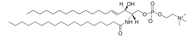 脑SM Avanti Polar Lipids