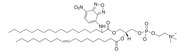 18:0(2-NBD)-18:1 PC Avanti Polar Lipids