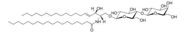 C18 Lactosyl(&#946;) Ceramide (d18:1/18:0) Avanti Polar Lipids 860598P, powder