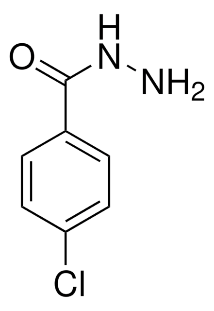 4-氯苯甲酰肼 98%