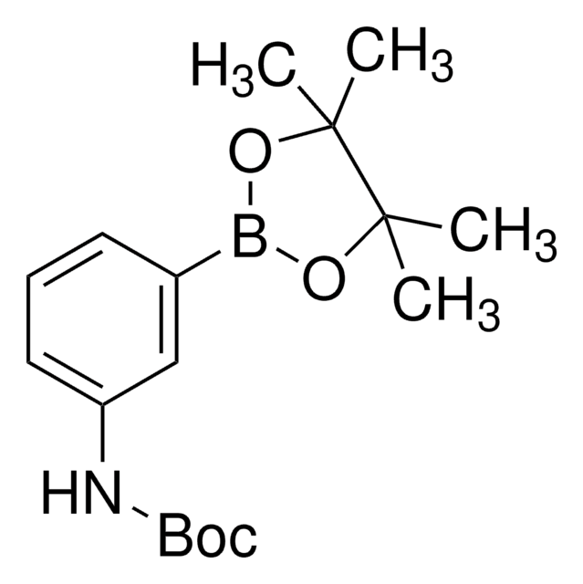 3-(N-Boc-氨基)苯硼酸频哪醇酯 97%