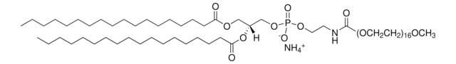 18:0 PEG750 PE Avanti Polar Lipids 880620P, powder