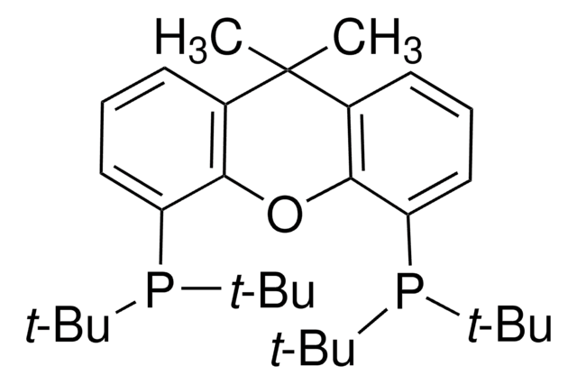 4,5-二(二叔丁基膦)-9,9-二甲基氧杂蒽 97%