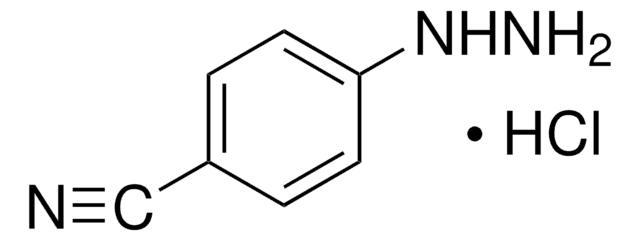 4-Cyanophenylhydrazine hydrochloride 97%