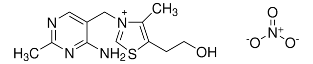 Thiamine nitrate 95%