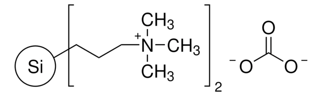 3-(三甲基铵)丙基-官能化硅胶, 碳酸盐 200-400&#160;mesh, extent of labeling: 0.8&#160;mmol/g loading