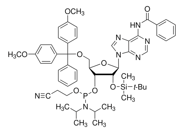 DMT-2&#8242;O-TBDMS-rA (bz) 亚磷酰胺 configured for ABI