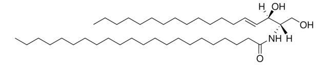 C22 Ceramide (d18:1/22:0) Avanti Polar Lipids 860501P, powder