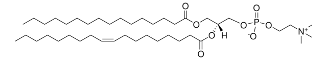 Egg PC Avanti Polar Lipids