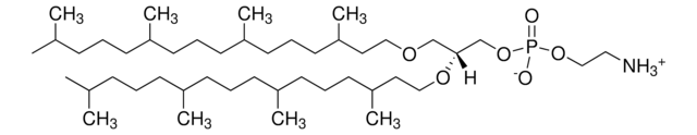 4ME 16:0 Diether PE Avanti Polar Lipids 999985P, powder