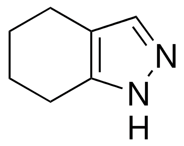 4,5,6,7-Tetrahydroindazole 98%