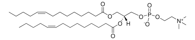 14:1 (&#916;9-Cis) PC 1,2-dimyristoleoyl-sn-glycero-3-phosphocholine, powder