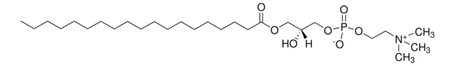 19:0 Lyso PC Avanti Polar Lipids 855776P, powder