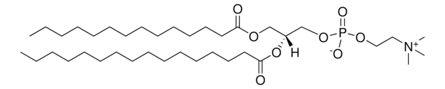 14:0-16:0 PC 1-myristoyl-2-palmitoyl-sn-glycero-3-phosphocholine, powder