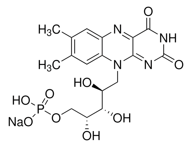 核黄素5&#8242;-单磷酸 钠盐 CRS, European Pharmacopoeia (EP) Reference Standard