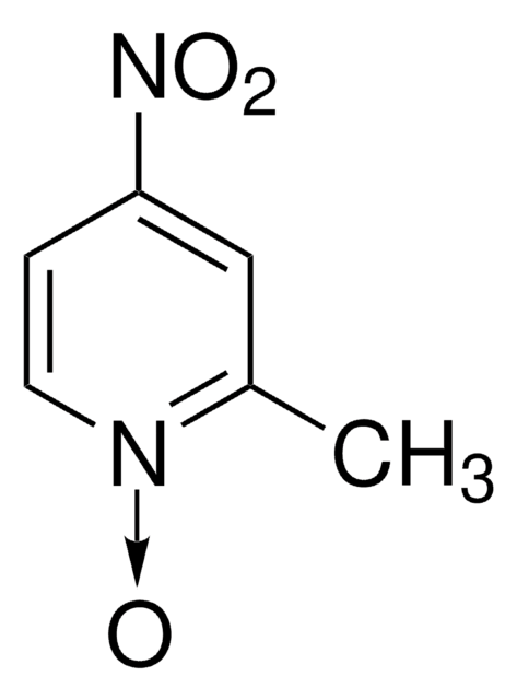 4-硝基-2-甲基吡啶-N-氧化物 97%