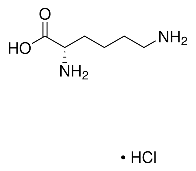 L-Lysine hydrochloride solution 100&#160;mM amino acid in 0.1 M HCl, analytical standard