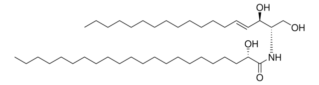 22:0(2S-OH) Ceramide Avanti Research&#8482; - A Croda Brand 860822P, powder