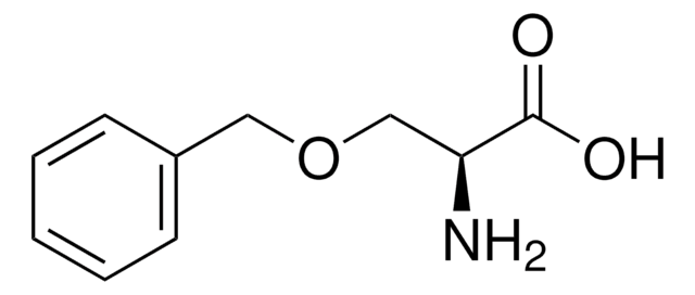 O-苄基-L-丝氨酸 &#8805;99.0% (NT)