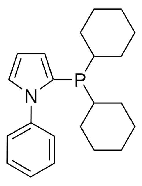 2-(二环己基膦酰基)-1-苯基-1H-吡咯 95%