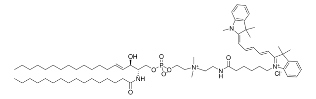 C16 Cy5 SM Avanti Polar Lipids, chloroform solution