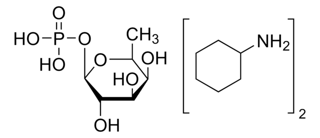 &#946;-L-Fucose 1-phosphate bis(cyclohexylammonium) salt &#8805;98%