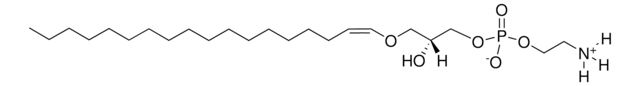 C18(Plasm) LPE 1-O-1&#8242;-(Z)-octadecenyl-2-hydroxy-sn-glycero-3-phosphoethanolamine, powder