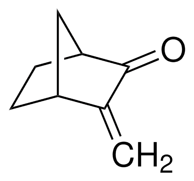 3-亚甲基-2-降冰片酮 97%