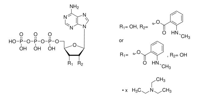 Mant-ATP 三乙铵盐 溶液 &#8805;95.0% (HPLC)