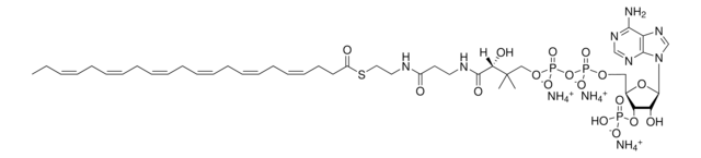 22:6 Coenzyme A Avanti Polar Lipids 870728P, powder