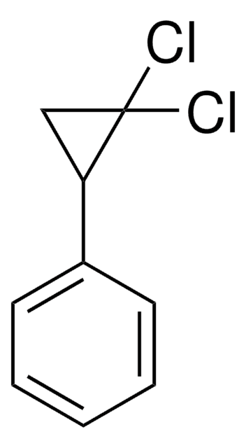 (2,2-二氯环丙基)苯 97%