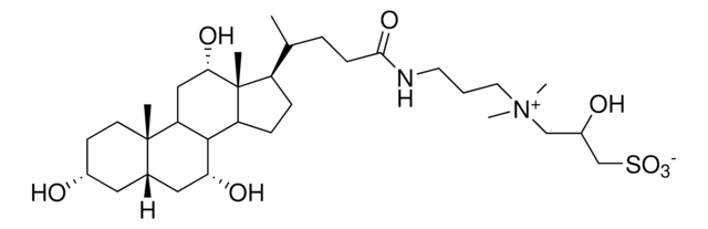 CHAPSO Avanti Polar Lipids 850501P, powder