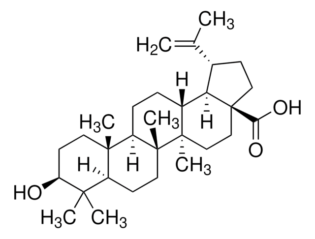 白桦脂酸 phyproof&#174; Reference Substance