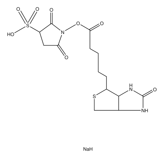 Biotin 3-sulfo-N-hydroxysuccinimide ester sodium salt &#8805;90% (TLC), powder