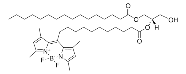 TopFluor&#174; DG Avanti Polar Lipids, powder