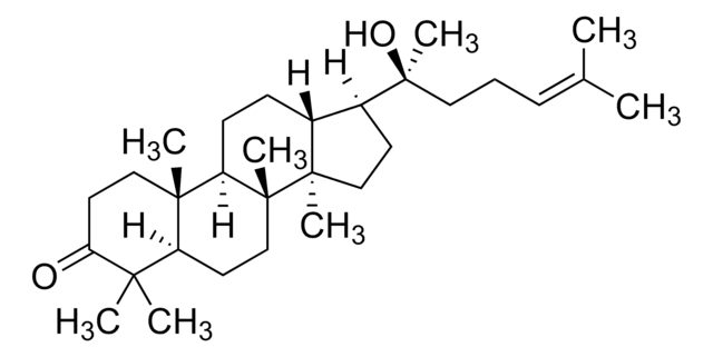 Dipterocarpol 98%