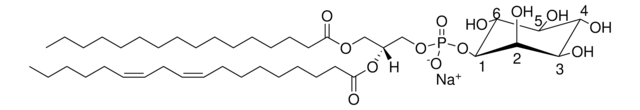 大豆 PI Avanti Polar Lipids