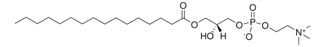 大豆Lyso PC Avanti Polar Lipids 840072P, powder